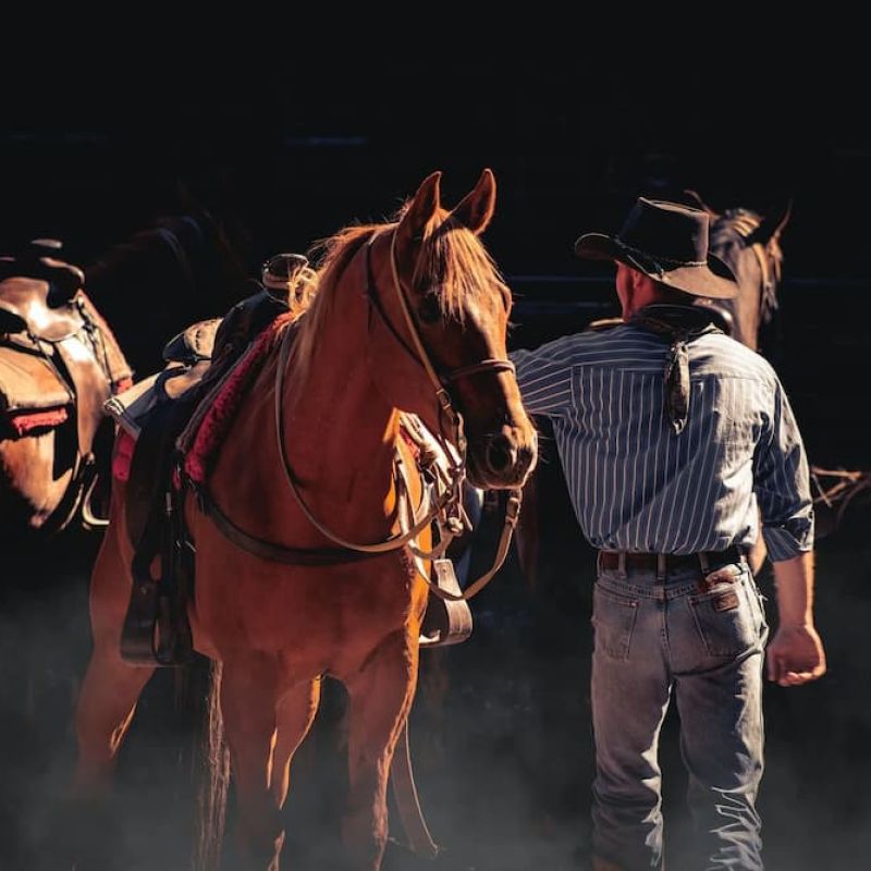 Cowboy in a hat tending saddled horses in dusty backlit corral light