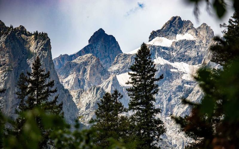 Close-up of jagged Teton peaks framed by evergreen branches in Jackson Hole Wyoming