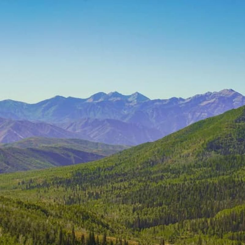 Wasatch mountain range rising above forested green hillsides under clear sky