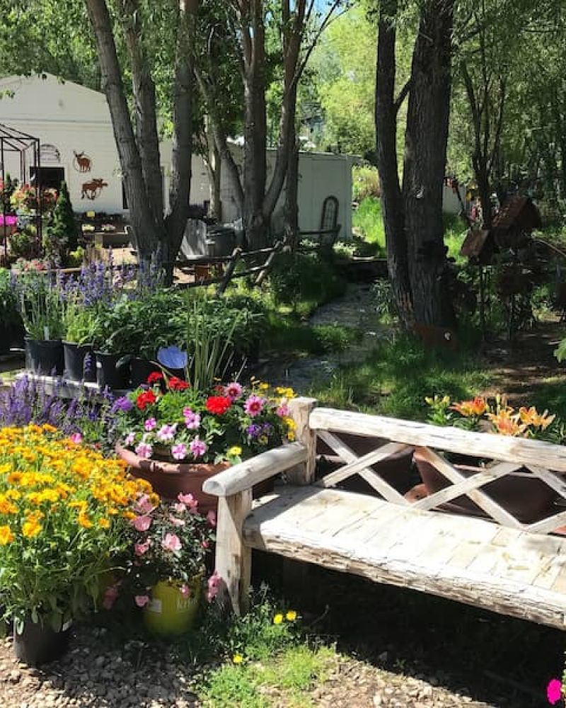 Outdoor garden nursery with potted flowers and a rustic wood bench