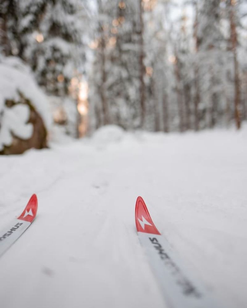 Close-up of cross country ski tips on a groomed forest track at dusk