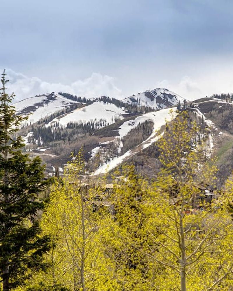 Snow-streaked Park City ski runs viewed through aspen and pine trees