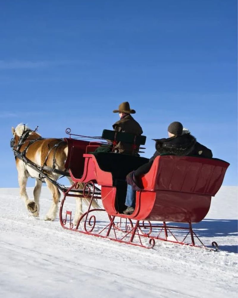 Couple riding a red horse-drawn sleigh across snowy ground under blue sky