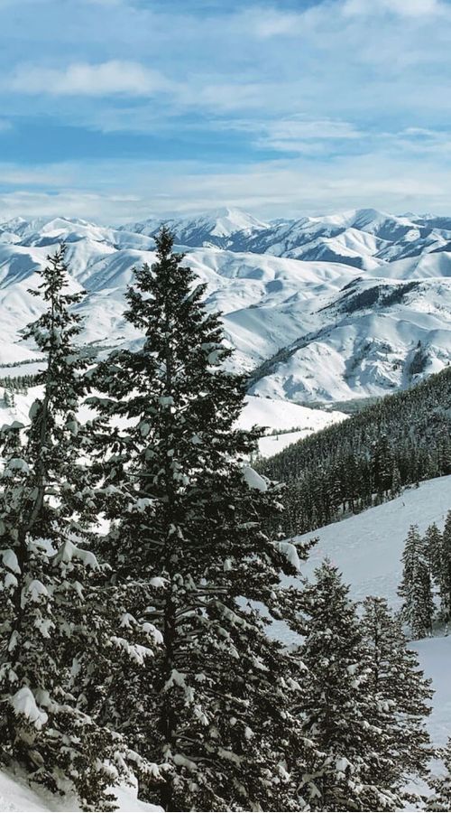 Snow-covered mountain range with evergreens in the foreground, Sun Valley, Idaho