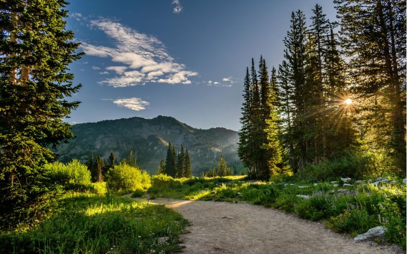 Summer Vacation in Park City
