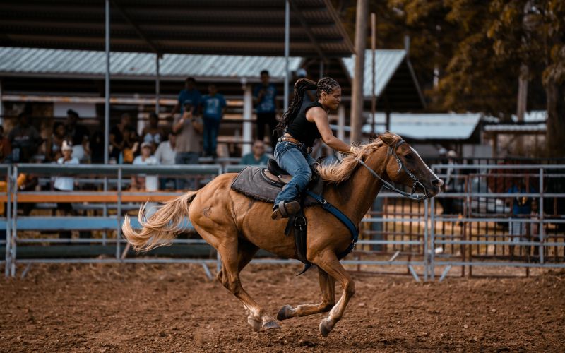 Enjoy the Jackson Hole Rodeo