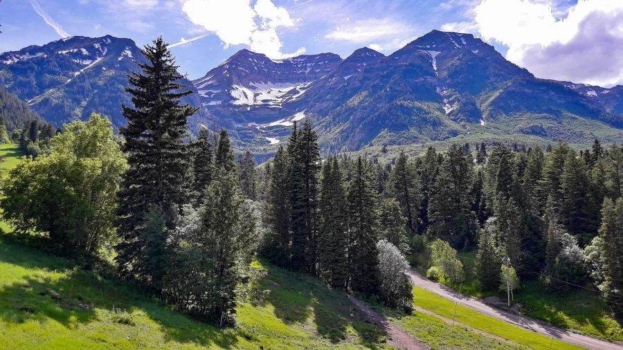 Enjoy a Park City Summer Vacation Enjoy a Park City Summer Vacation Enjoy a Park City Summer Vacation