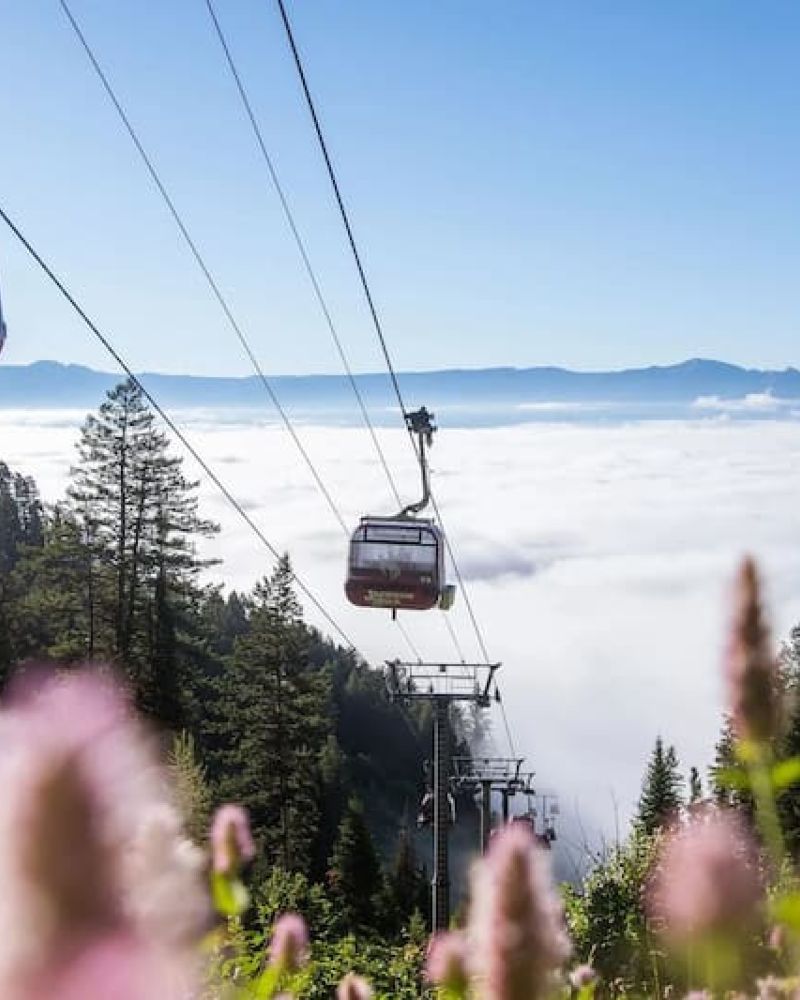Jackson Hole gondolas descending past pine trees with cloud inversion below