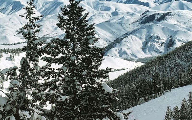 Snow-covered mountain range with evergreens in the foreground, Sun Valley, Idaho