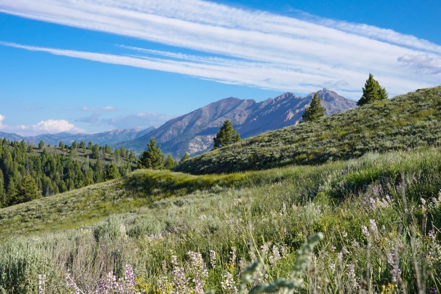 Book direct in Sun Valley for mountainside views! Book direct in Sun Valley for mountainside views!