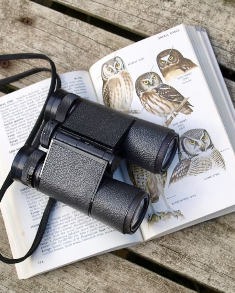 Binoculars resting on an open field guide showing illustrations of owls