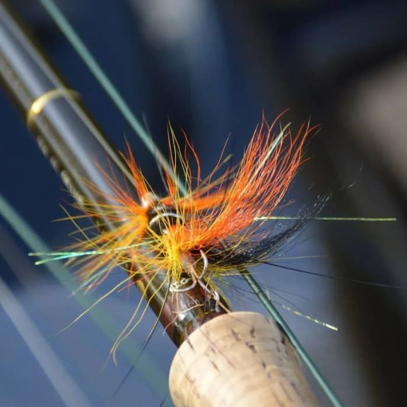 Orange and yellow fly-fishing lure tied to a fly rod