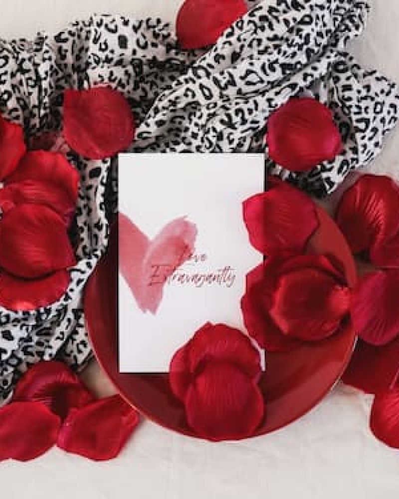 Red rose petals scattered around a Valentine's card on a leopard print scarf