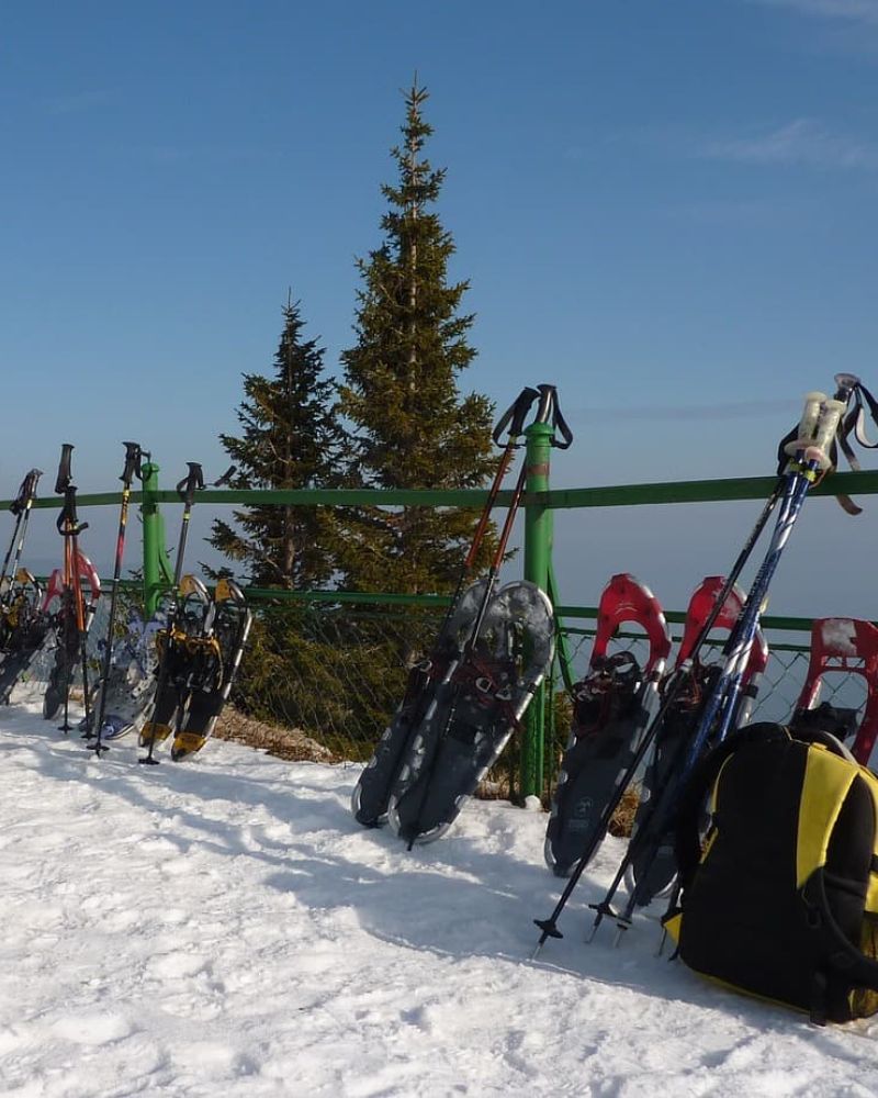 Snowshoes and trekking poles leaning against a fence at a snowy mountain overlook