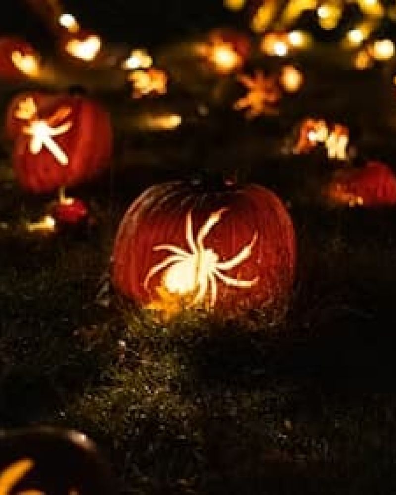 Carved jack-o-lanterns with spider designs glowing on dark grass at night