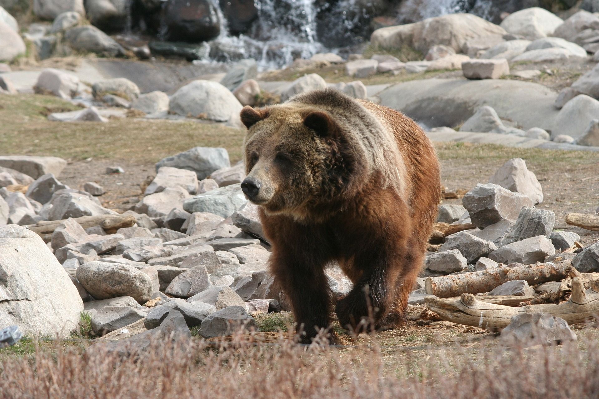 The Ultimate Guide to National Parks Near Jackson Hole, WY Featured Image
